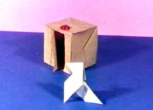 Origamingus